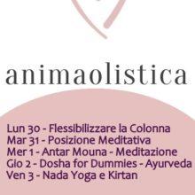 Programma Yoga Live