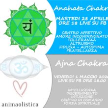 AnahataAjnaChakra