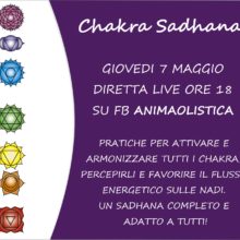 Chakra Sadhana