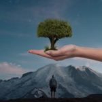 erboristeriaIntuitiva