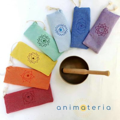 Animateria Chakra Pillow Set