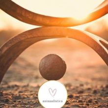 TantraRemoteEnergyHealingIT